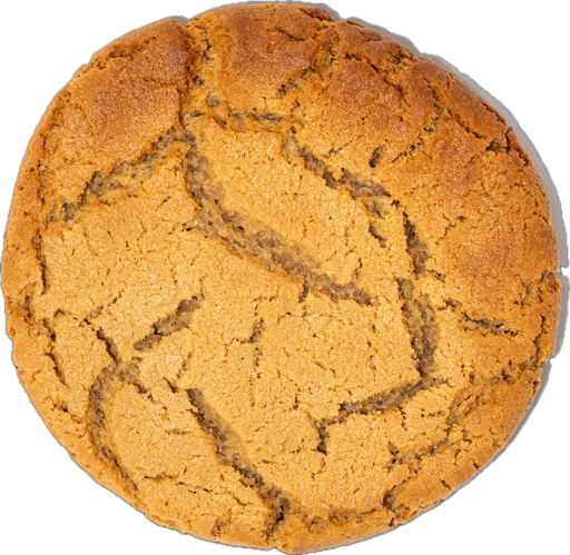 Peanut Butter Cookie